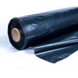 Чорна Плівка