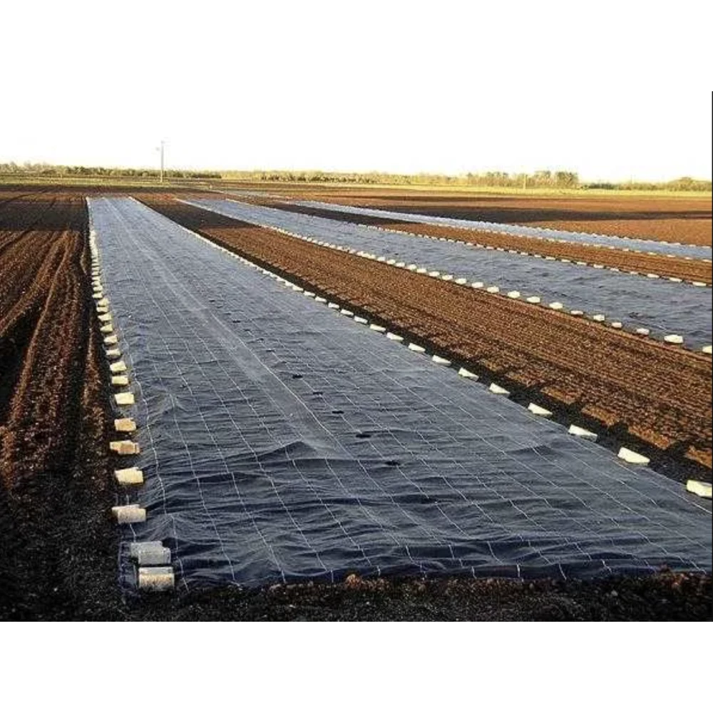 Геотекстиль П-130 (1,6*25м) - чорний ///GF Agro Польща)